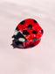 Ladybug Claw Clip