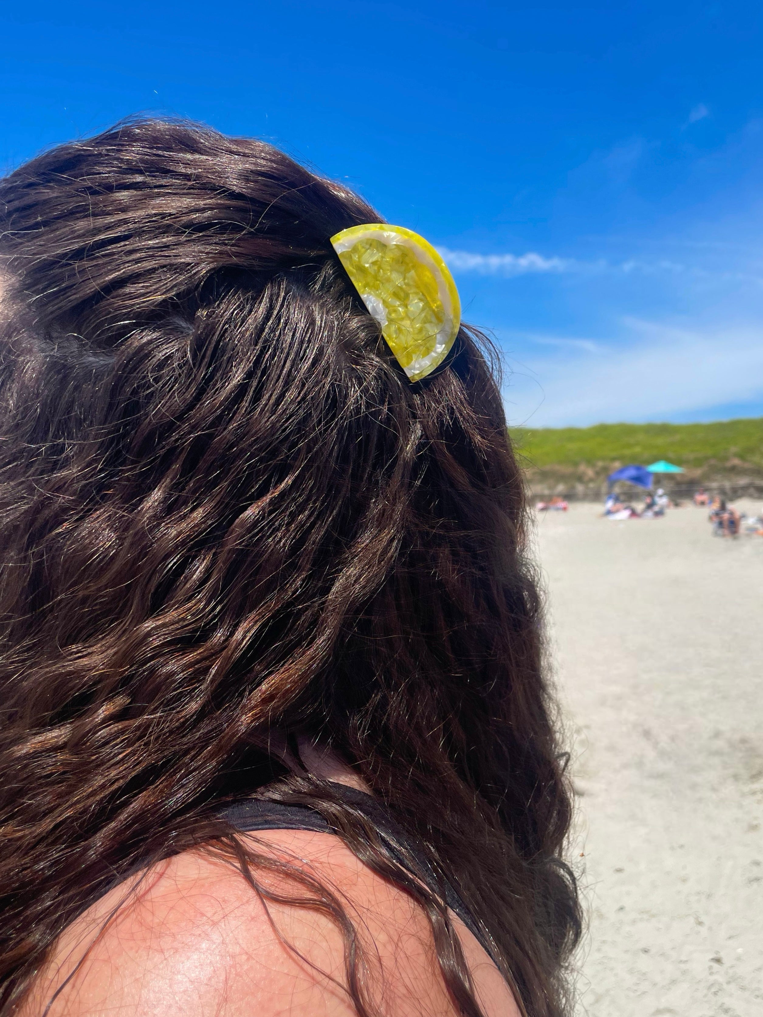 Lemon Claw Clip