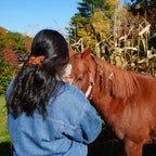 Horse Barrette
