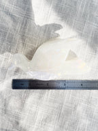 Dove Claw Clip 🕊️