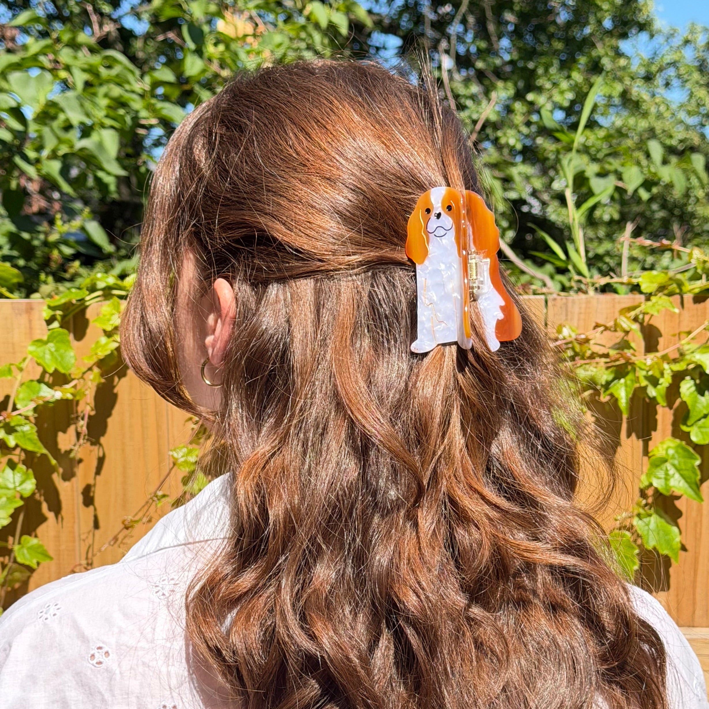 Cavalier King Charles Spaniel Dog Claw Clip