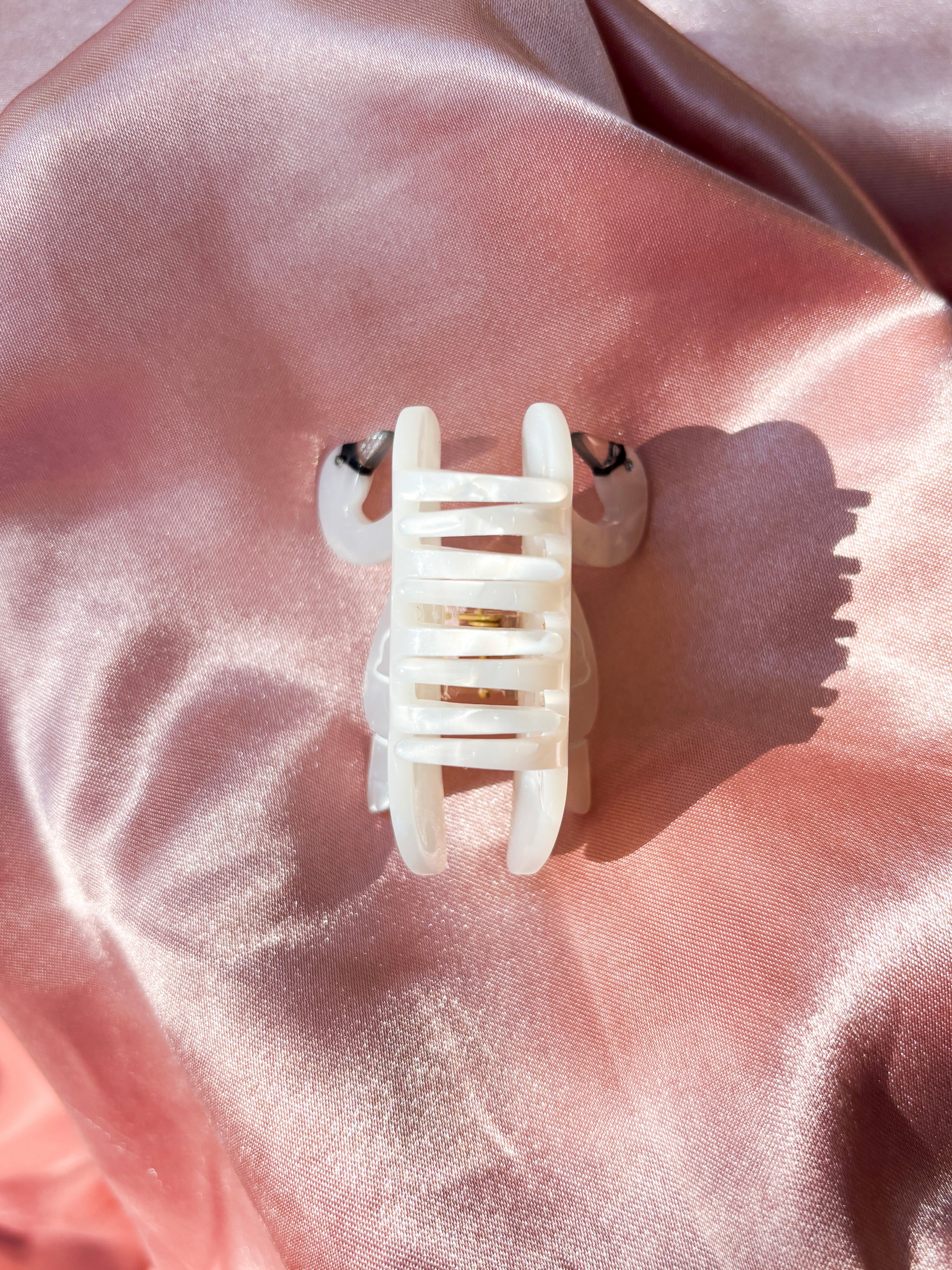 Swan Claw x Onco-Ballet Foundation