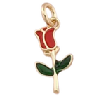 Icon Charms