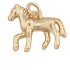 Icon Charms