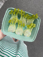 Fennel Claw Clip