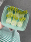 Fennel Claw Clip