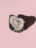 Oyster Claw Clip