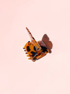 Butterfly Claw Clip