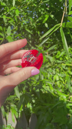 Tomato Claw Clip